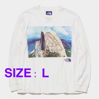 ザノースフェイス(THE NORTH FACE)のTHE NORTH FACE Purple Label × PALACE (Tシャツ/カットソー(七分/長袖))