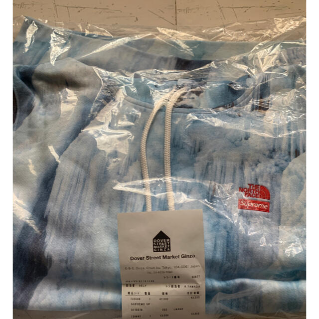 Supreme The North Face Ice Climb Hooded