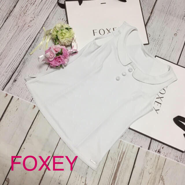 FOXEY(フォクシー)の♡フォクシートップス美品４０号♡ Rene レディースのトップス(カットソー(半袖/袖なし))の商品写真