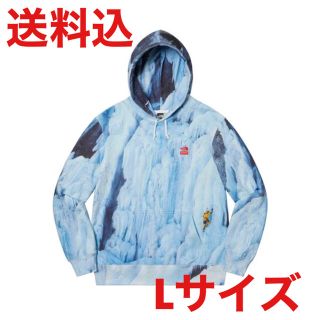 シュプリーム(Supreme)のSupreme TNF Ice Climb Hooded Sweatshirt(パーカー)