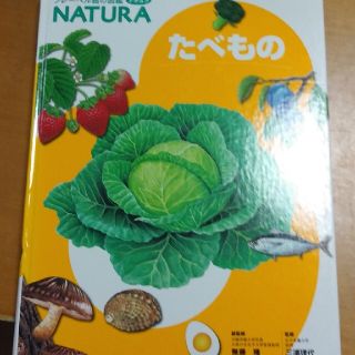 R&R様専用　NATURA「たべもの」図鑑(絵本/児童書)