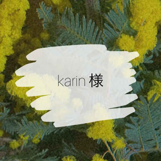 karin様♡⃛︎専用 ハンドメイドのアクセサリー(ピアス)の商品写真