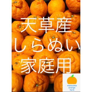 不知火　家庭用　5kg (フルーツ)