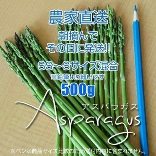 細アスパラ 500g アスパラガス 新鮮野菜(野菜)