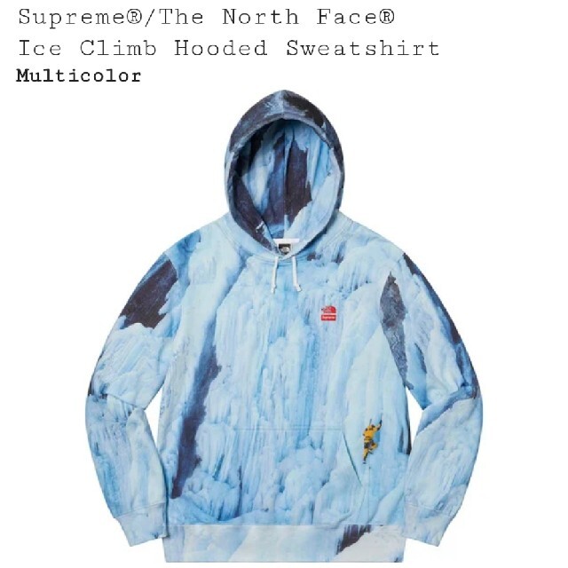 Supreme the north face Ice Climb Hooded