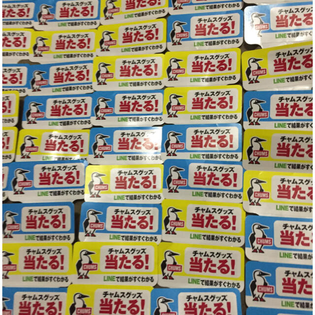 CHUMS(チャムス)の■ 十六茶×CHUMS アウトドアグッズが       当たるキャンペーン80枚 その他のその他(その他)の商品写真