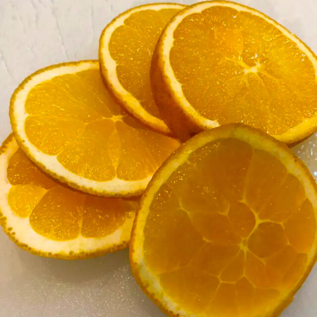 カリフォルニア産　ネーブルオレンジ　約5kg 食品/飲料/酒の食品(フルーツ)の商品写真