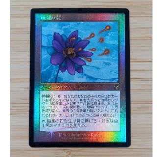 MTG 睡蓮の花 foil 日本語 時のらせんブロック(シングルカード)