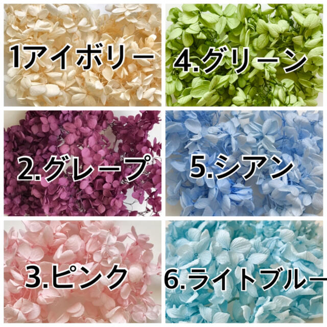 選べる2袋　プリザーブドフラワー紫陽花ドライフラワー ハンドメイドのフラワー/ガーデン(プリザーブドフラワー)の商品写真