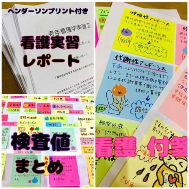 看護 付箋 ノート ☆ 実習 レポート ☆ 検査値 まとめ ☆ ヘンダーソン ...