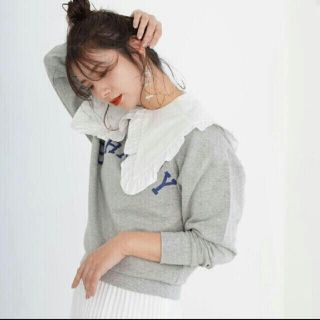 ザラ(ZARA)のmite ビッグカラー つけ襟 バースデーバッシュ myu ZARA(つけ襟)