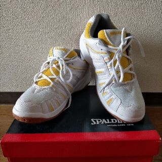 スポルディング(SPALDING)の［SPALDING］体育館シューズ・室内シューズ・ジムシューズ(スニーカー)