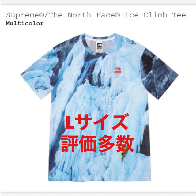 Supreme THE NORTH FACE Ice Climb Tee