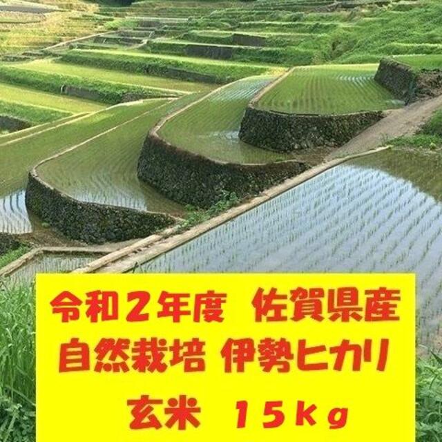 総合ランキング1位受賞　令和２年度！佐賀県産！自然栽培！「伊勢ヒカリ」玄米15kg　6963円