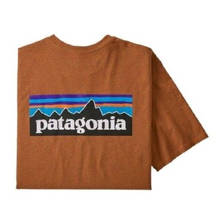 パタゴニア(patagonia)のMサイズ　パタゴニア tシャツ ロゴt P-6ロゴ レスポンシビリティー(Tシャツ/カットソー(半袖/袖なし))