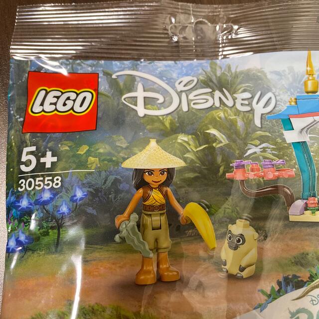 Lego(レゴ)のLEGO ラーヤと龍の王国 エンタメ/ホビーのアニメグッズ(その他)の商品写真