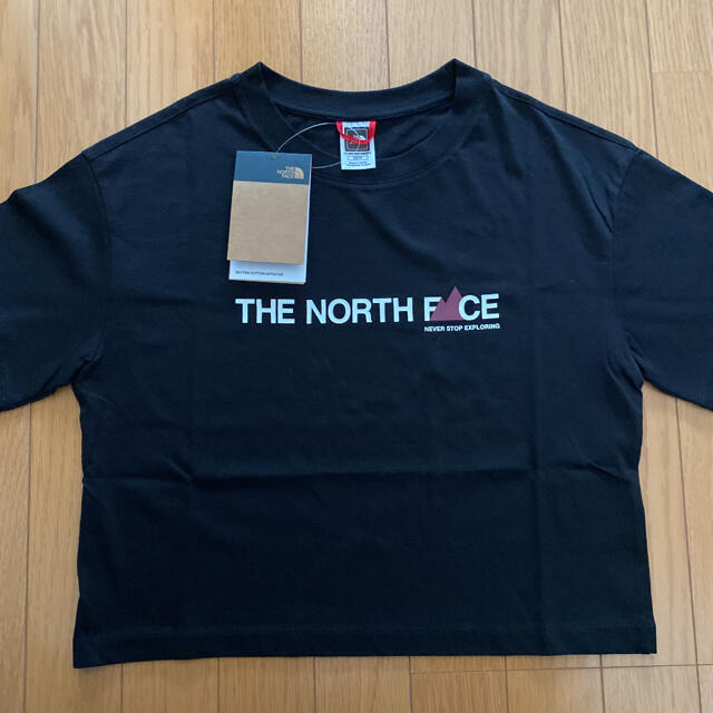 THE NORTH FACE(ザノースフェイス)の【海外限定】The North Face Tシャツ ノースフェイス 半袖 レディースのトップス(Tシャツ(半袖/袖なし))の商品写真