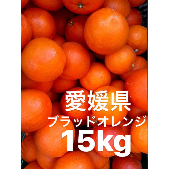愛媛県　ブラッドオレンジ　15kg