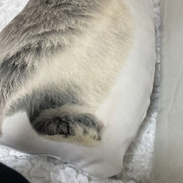ニトリ ニトリ うさぎもちもちクッションの通販 By Coco ニトリならラクマ ニトリ ニトリ うさぎもちもちクッションの通販 By Coco ニトリならラクマ