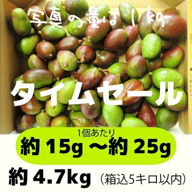 ［セール緑］約4.7キロ グリーンマンゴー 青マンゴー 摘果マンゴー 加工用 食品/飲料/酒の食品(フルーツ)の商品写真