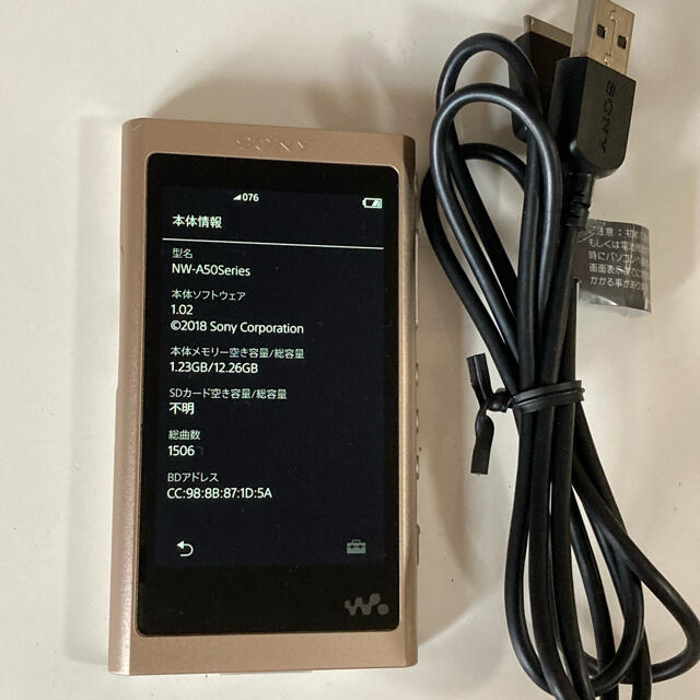 SONY ソニー ウォークマン NW-A45 16GB ペールゴールド 美品