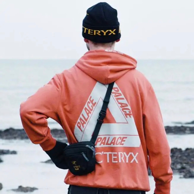 ARC'TERYX(アークテリクス)の【コラボ】PALACE ARC'TERYX HOOD OCHRE メンズのトップス(パーカー)の商品写真