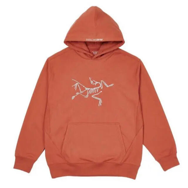 ARC'TERYX(アークテリクス)の【コラボ】PALACE ARC'TERYX HOOD OCHRE メンズのトップス(パーカー)の商品写真