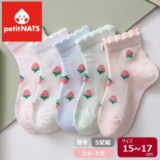 petitNATS❤いちご《15〜17cm》〔ly21004-m〕(靴下/タイツ)