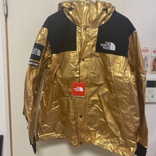 Supreme The North Face Mountain Parka