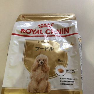 ロイヤルカナン(ROYAL CANIN)のお値下げロイヤルカナンドックフード3キロ　2袋(ペットフード)