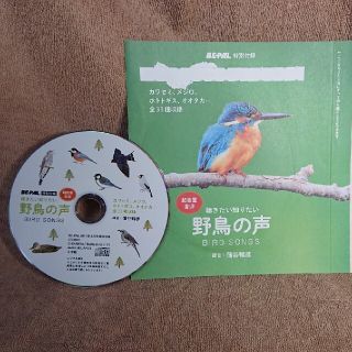 BE-PALふろく 野鳥の声 CD(その他)