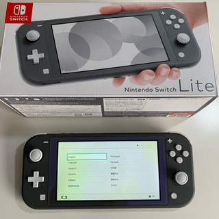 ニンテンドースイッチ(Nintendo Switch)のNintendo Switch Liteグレー　ケース、プロテクター付(家庭用ゲーム機本体)