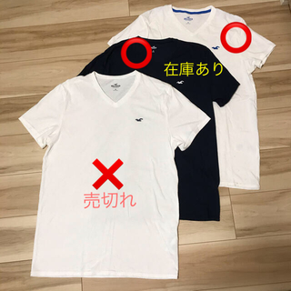 ホリスター(Hollister)のホリスター　Tシャツ2枚セット(Tシャツ/カットソー(半袖/袖なし))