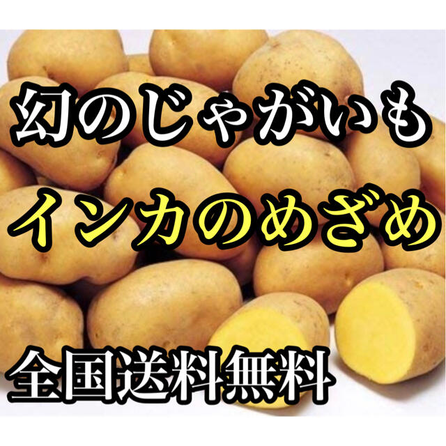 北海道産幻のじゃがいも　インカのめざめ宅急便コンパクト満杯詰約1.4キロ送料無料 食品/飲料/酒の食品(野菜)の商品写真