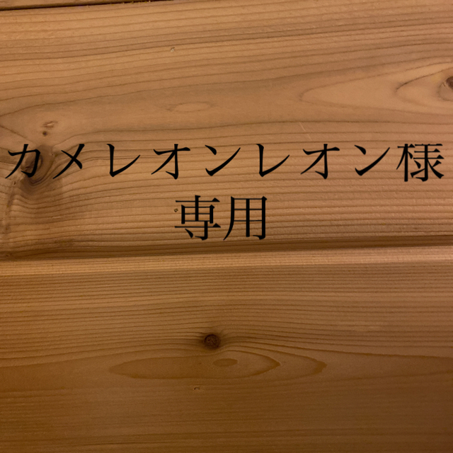 Jocomomola(ホコモモラ)のJOCOMOMOLA(ホコモモラ)  2WAYショルダーバッグ　マーゴ レディースのバッグ(ショルダーバッグ)の商品写真