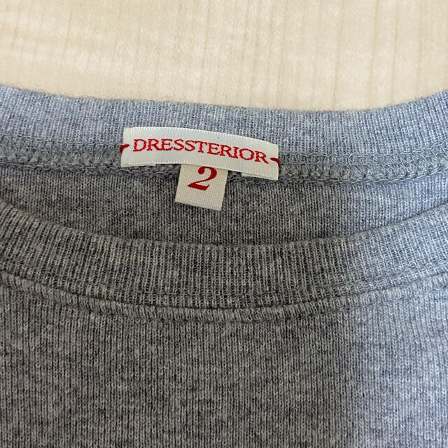 DRESSTERIOR(ドレステリア)のドレステリア　カットソー　グレー レディースのトップス(カットソー(長袖/七分))の商品写真