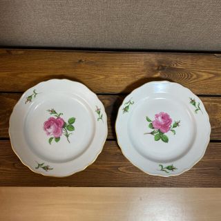 マイセン(MEISSEN)のマイセン　プレート　ピンクローズ　18センチ　2枚(食器)