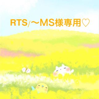 RTS/〜MS様専用ページ☆(ファッション雑貨)