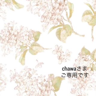 ブランシェス(Branshes)のchawaさまご専用です🌼✨(ワンピース)