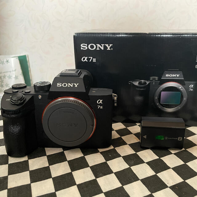 使用回数5回 ！ SONY a6600 ボディ 豪華特典多数！予備バッテリーありカメラ