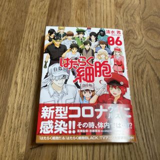 はたらく細胞 ６　最終巻(青年漫画)