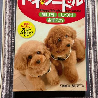 トイプードル　飼い方　しつけ　お手入れ(犬)