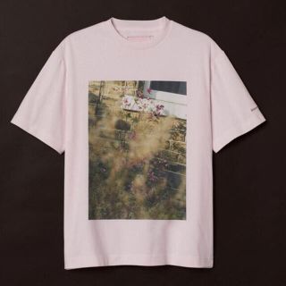 エイチアンドエイチ(H&H)の最終値下げ　新品　SIMONE ROCHA × H&M メンズ ピンクTシャツ(Tシャツ/カットソー(半袖/袖なし))