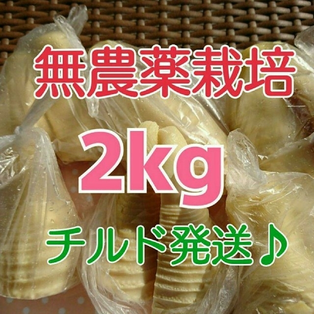 【チルド発送♪】和歌山県産 孟宗たけの子 水煮 2kg＋500g増量中‼️‼️ 食品/飲料/酒の食品(野菜)の商品写真