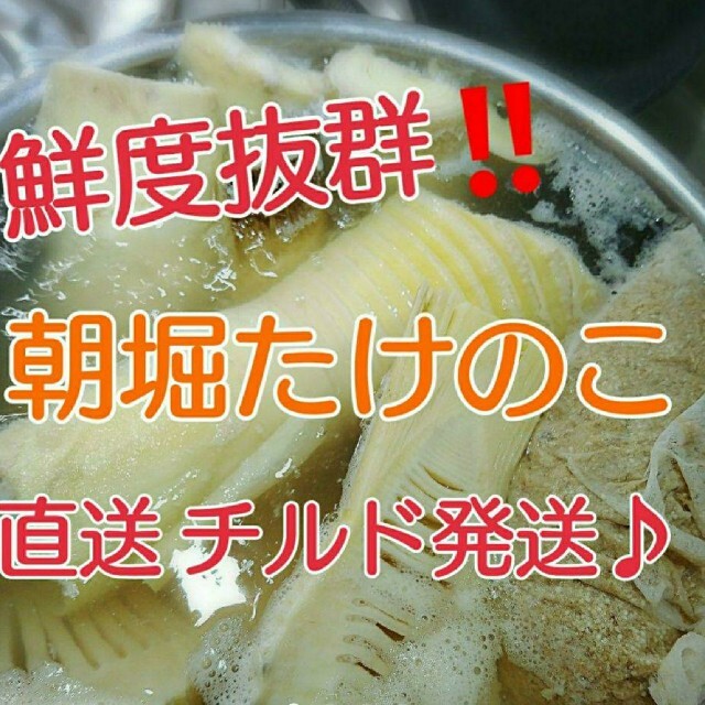 【チルド発送♪】和歌山県産 孟宗たけの子 水煮 2kg＋500g増量中‼️‼️ 食品/飲料/酒の食品(野菜)の商品写真