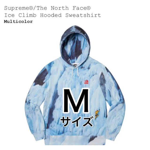 Supreme Ice Climb Hooded Sweatshirt