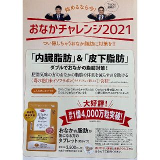 タイショウセイヤク(大正製薬)のおなかの脂肪が気になる方のタブレット 定価3500円→500円→申込用紙５枚(ダイエット食品)