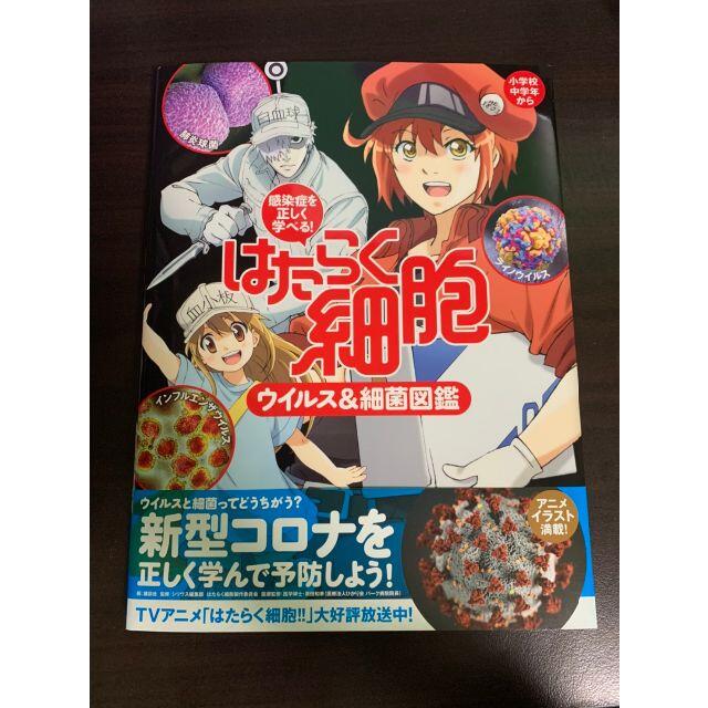 講談社(コウダンシャ)の【新品未読】はたらく細胞ウイルス＆細菌図鑑 感染症を正しく学べる！ 講談社 エンタメ/ホビーの本(絵本/児童書)の商品写真