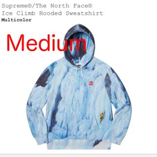 シュプリーム(Supreme)のSupreme TNF パーカー Medium 送料込み(パーカー)