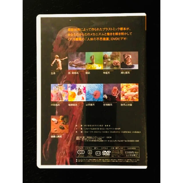 今だけタイムセール!! 人体の不思議展 DVD 完全保存版 エンタメ/ホビーの本(健康/医学)の商品写真